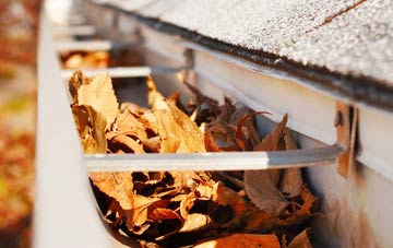 Hill Common gutter cleaning companies